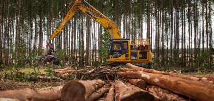 Suzano contrata operadores de colheita em Brasilândia (MS)