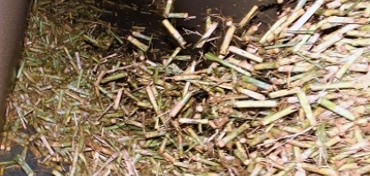 Abertura da safra mineira de cana-de-açúcar dia 26/4 em Uberaba