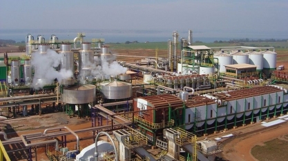 Tereos mantém busca para ampliar financiamento