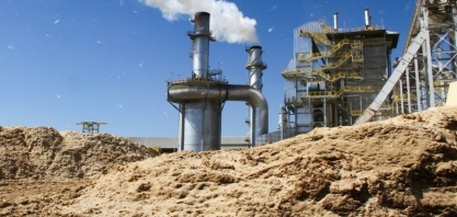 Leilão de energia A-4 atrai 51 GW em projetos; usinas a biomassa somaram 19 inscrições