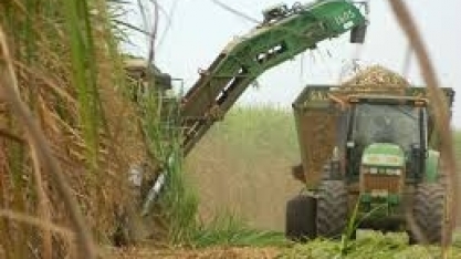 Balanços de usinas devem apresentar fluxos de caixa negativos