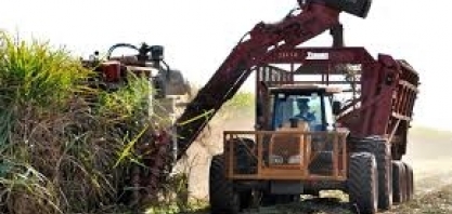 Açúcar: Safra 2019/20 começa com preços do cristal em queda 