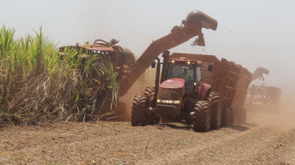 Começa hoje, oficialmente, a safra canavieira 2019/20 na região Centro-Sul do Brasil