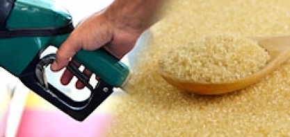 Contratos futuros do açúcar desvalorizam; indicador diário do etanol segue em queda