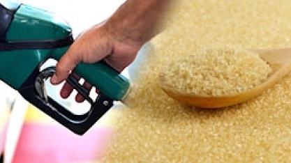 Contratos futuros do açúcar desvalorizam; indicador diário do etanol segue em queda