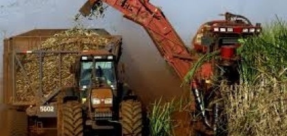 Moagem de cana no CS ganha ritmo após início lento; produtividade deve aumentar
