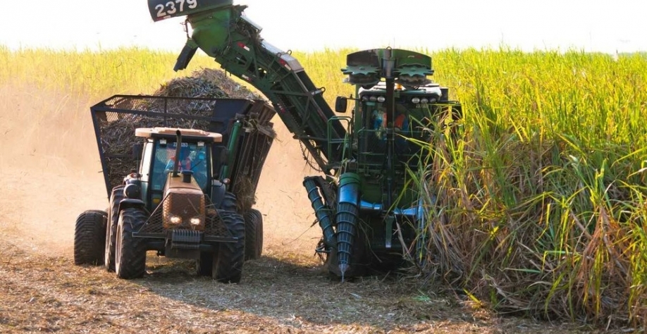 MS deve colher 49,201 milhões de toneladas de cana na safra 2019/2020, segundo a Conab — Foto: Biosul/Divulgação