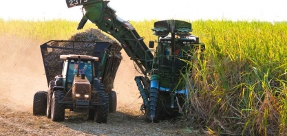Com área maior, mas produtividade mais baixa, MS deve ter quase estabilidade na produção de cana, aponta Conab