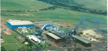 Bunge Açúcar & Bioenergia tem vagas abertas para programa de trainee 