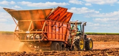 Menor custo e baixo consumo de mudas consolidam plantio mecanizado