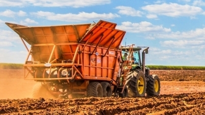 Menor custo e baixo consumo de mudas consolidam plantio mecanizado