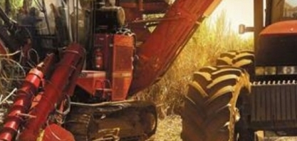 Quase um quarto das usinas de cana não produz nesta safra