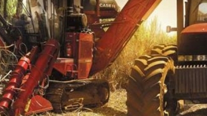 Quase um quarto das usinas de cana não produz nesta safra