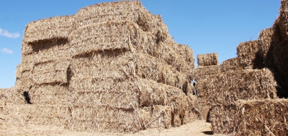 Pequenos produtores rurais de casa nova e tucano serão beneficiados com a doação de palhada da Agrovale