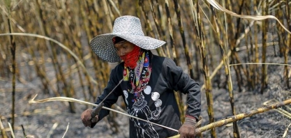Açúcar/OIA: média mensal do prêmio nominal do refinado atingiu mínima de US$ 54,01 a t