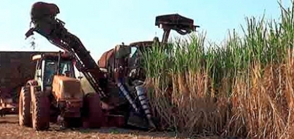 Ciência Aberta: programa da Fapesp terá a participação de Rubens Maciel Filho, docente da FEQ