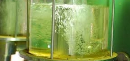 Com PR, etanol passa a ser competitivo com gasolina em 5 Estados, diz ANP