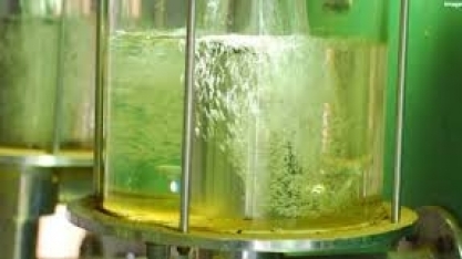 Com PR, etanol passa a ser competitivo com gasolina em 5 Estados, diz ANP