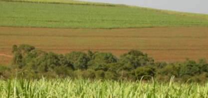 CNA propõe remuneração a produtores de cana no RenovaBio