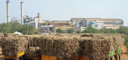 Produção global de açúcar deve avançar 1% em 2019/20, diz USDA