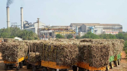 Produção global de açúcar deve avançar 1% em 2019/20, diz USDA
