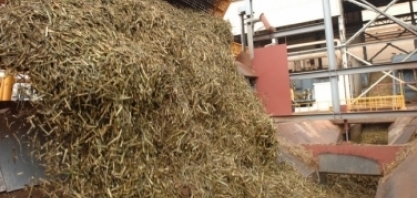 Safra ainda mais alcooleira intensifica produção e venda de etanol