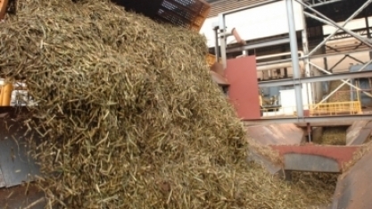 Safra ainda mais alcooleira intensifica produção e venda de etanol