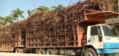 Safra da cana de açúcar pode gerar até 5 mil empregos, ES
