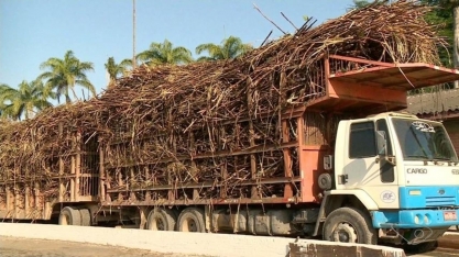 Safra da cana de açúcar pode gerar até 5 mil empregos, ES