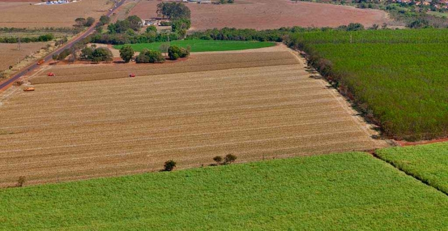 Com 930 mil hectares plantados, Minas Gerais tem 34 usinas de açúcar e álcool, que serão ampliadas para 36 em 2020. Nos últimos anos, 80 foram fechadas no país e 11 no estado (foto: TADEU FESSEL/DIVULGAÇÃO)