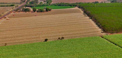 Minas supera safras amargas de cana-de-açúcar