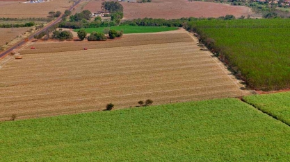Minas supera safras amargas de cana-de-açúcar