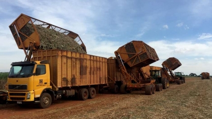 Moagem e produção de açúcar e etanol do CS caem na 1ª quinzena e na safra