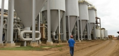 Bioenergia é opção para novo ciclo de desenvolvimento