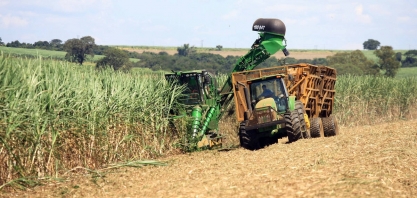 Cidades de SP terão inédito fornecimento de gás de bagaço de cana