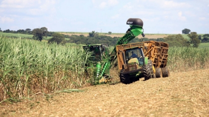 Cidades de SP terão inédito fornecimento de gás de bagaço de cana