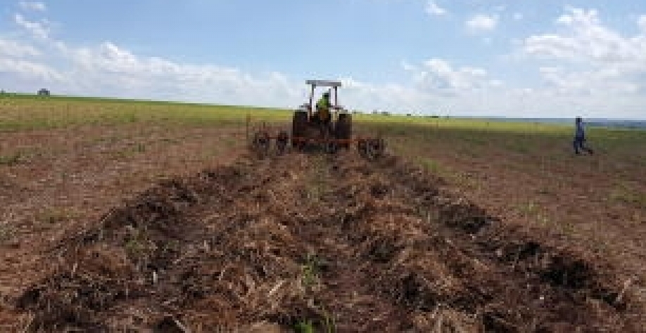 Foto: Roberto Teixeira Alves