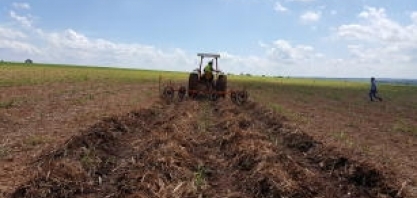 Manejo do palhiço no sul de Mato Grosso do Sul prejudica canavial