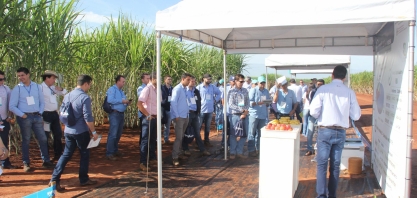 Syngenta realiza seu maior evento de campo - Estação Conhecimento 2019