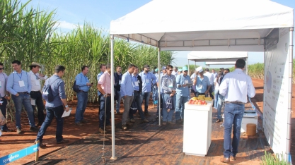 Syngenta realiza seu maior evento de campo - Estação Conhecimento 2019