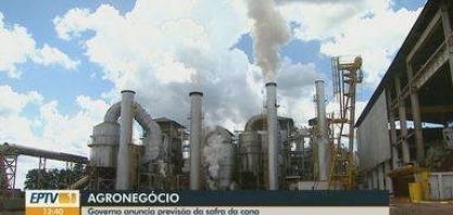 Governo anuncia previsão da safra da cana