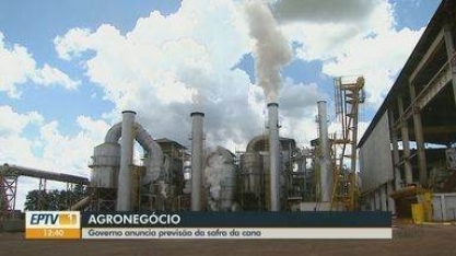 Governo anuncia previsão da safra da cana