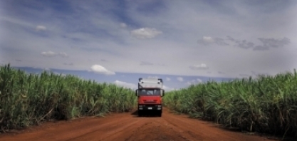 Safra 2018/2019: Brasil bate recorde de produção, consumo e venda de etanol