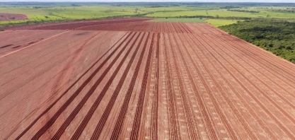 Diana Bioenergia espera melhor produtividade com controle de pragas e adiamento de início de moagem