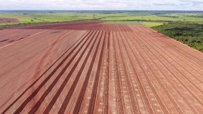 Diana Bioenergia espera melhor produtividade com controle de pragas e adiamento de início de moagem