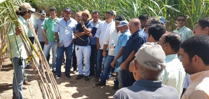 Dia de campo apresenta técnica de aumento da produtividade do canavial
