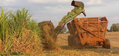 Safra de cana deve manter mesmo volume da anterior