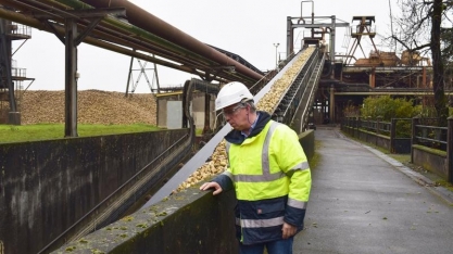 Tereos: 10 coisas que você precisa saber sobre a metanização