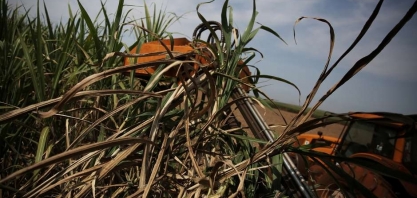 Usinas do Brasil devem reduzir alocação de cana para produção de açúcar