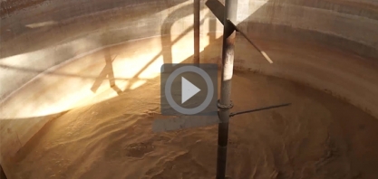 Leveduras Selecionadas X Personalizadas: Como elevar o rendimento?